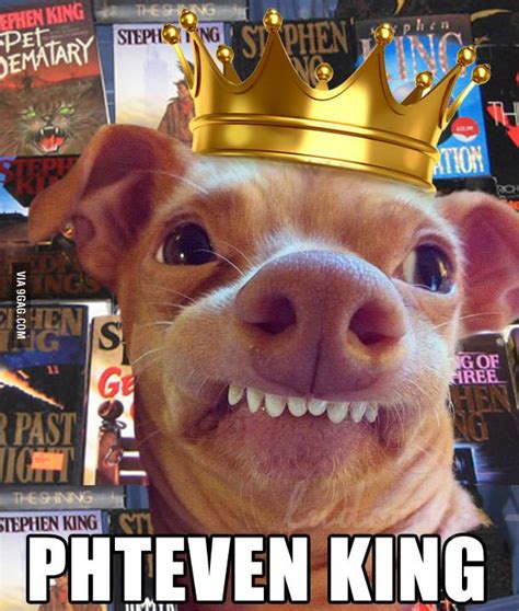 Phteven King In 2020 With Images Phteven Funny Animal Memes