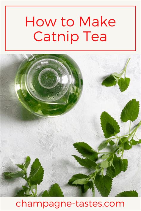 Catnip Tea - An Easy Herbal Tea from the Garden - Champagne Tastes®