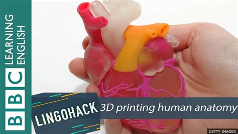 D Printing Human Anatomy Lingohack