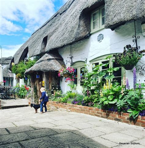 sunday photo pub dog  bavarian sojourn