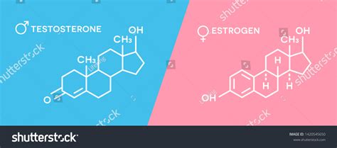 Male Sex Hormone Images Stock Photos Vectors Shutterstock