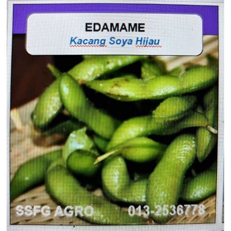 Biji Benih Kacang Soya Hijau Edamame Dwarf 15 Biji Benih Shopee