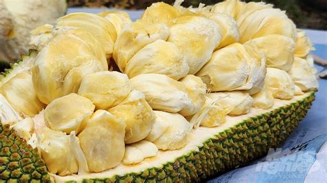 Images Of Jack Fruit