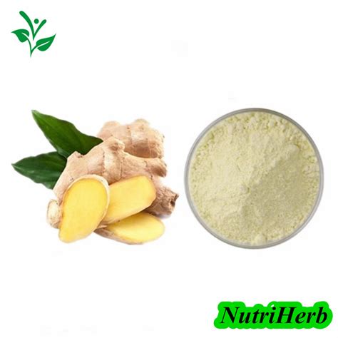 Natural Zingiber Officinale Root Extract Gingerol Extract - China ...