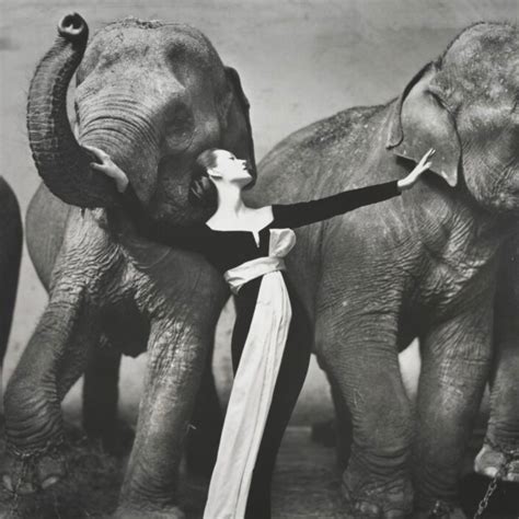 How Richard Avedon Reinvented Fashion Photography