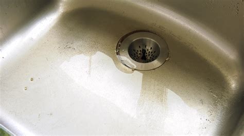 Adult Empire Award Winning Retailer Of Streaming Porn Videos On