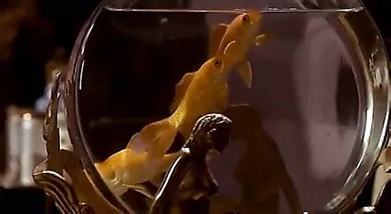 Jessica Lange Nude Porn Videos Sex Tapes Celebrity Hot Xxx Rated Sex Scenes Xhamster