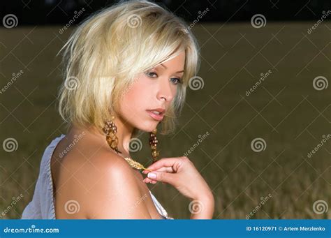 Belle Blonde Sur Une Zone De Blé Image stock Image du céréale cheveu 16120971