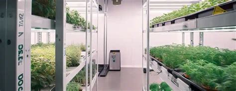 Vertical Grow Room Design: How to Build a Sustainable System