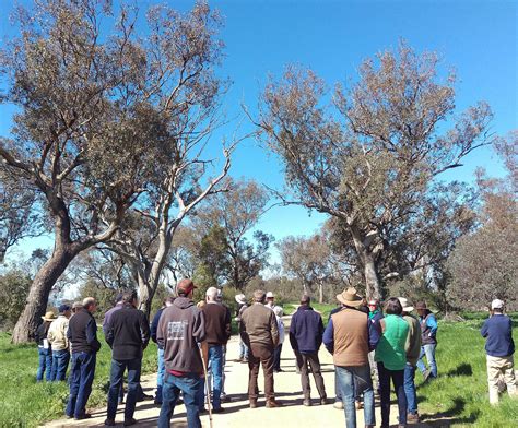 Sustainable Farms Baseline Evaluation Report: a snapshot of farmers