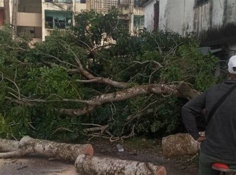 Adelante De Los Fuertes Vientos Lluvias Y Bajas Temperaturas