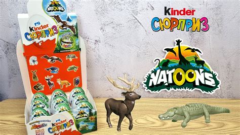 Киндер Сюрприз Natoons 2023 Вся Коллекция Фото — Mixyfotos.ru