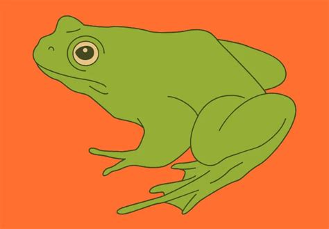 Hop Into Laughter With These 200 Ribbitingly Funny Frog Knock Knock Jokes