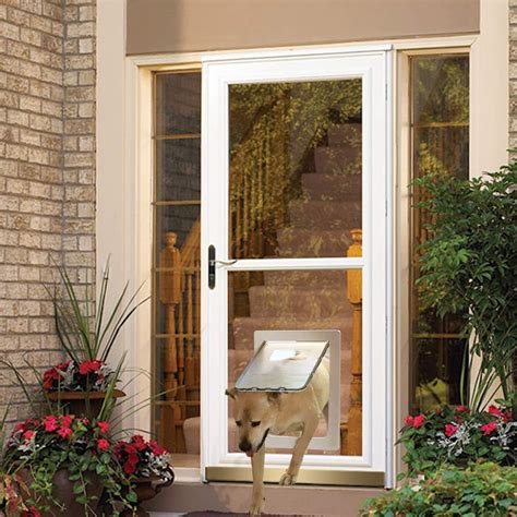 Pet doors for glass doors - Builders Villa