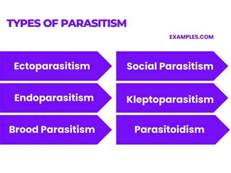 Parasitim 20 Examples Definition Types Effects Signs