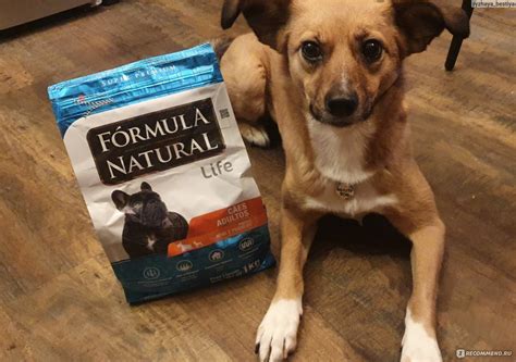 Корм для собак Formula Natural Life для взрослых собак маленьких и мини ...