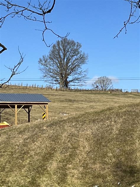 Alderson Cemetery in Neff, Virginia - Find a Grave Cemetery