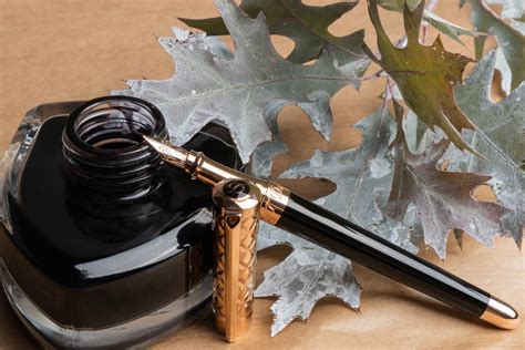 fountain    basics  fountain pens art brown