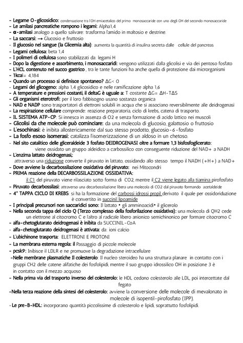 Universita San Raffaele Di Roma 3