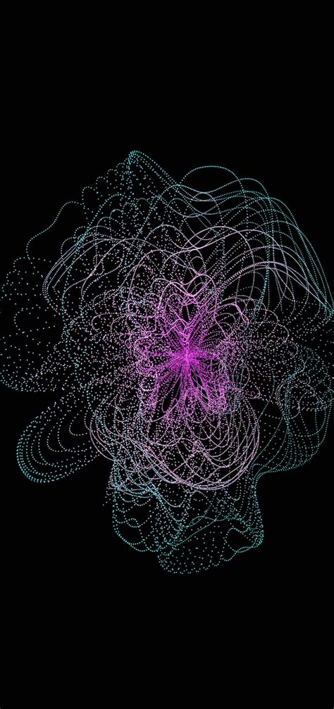 Locals are flocking to roanoke marketplace for fresh organic produce 13