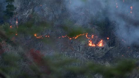 Wildfire update: Black Bear Fire expands to more than 1,000 acres in ...