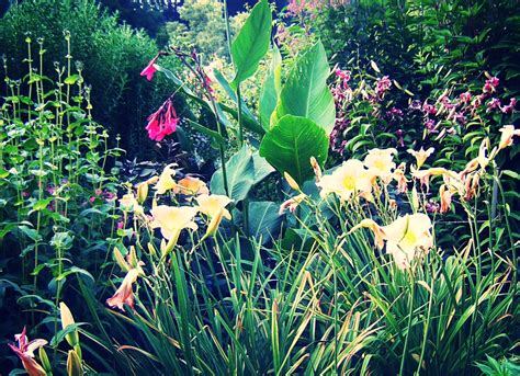 principles ami chen coaching education