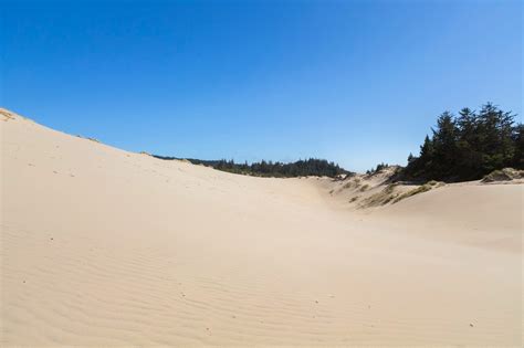 Naturetastic Blog Oregon Dunes National Recreation Area Umpqua River