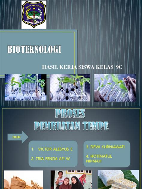 15 Proses Pembuatan Teh