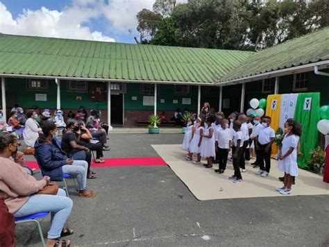 Constantia Kloof Primary School Phone Email Address And Details
