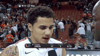 fun collection  photobombs  pics  gifs izismilecom