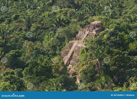 Lamanai, maya ruins stock photo. Image of forest, historic - 36146804