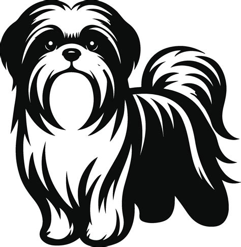 Shih tzu dog clip art illustration 50309261 Vector Art at Vecteezy