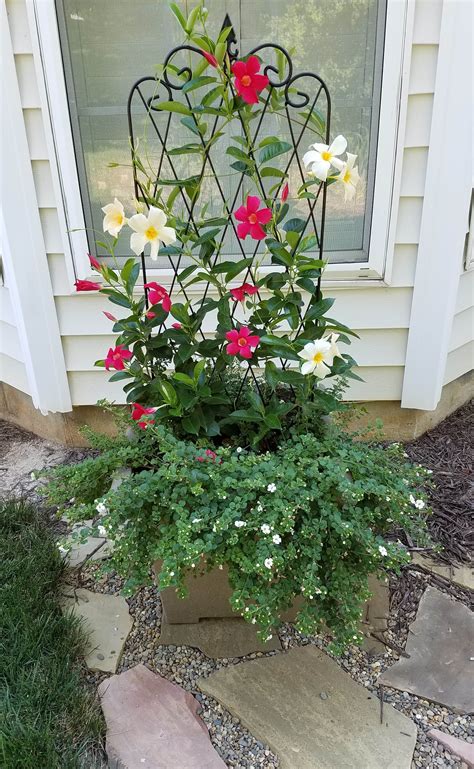 phillip watson leaving cottage farms/qvc - Blogs & Forums