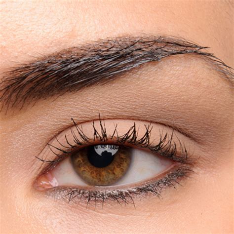 Urban Decay Naked Basics Pan Naked Eyeshadow Palette Review Swatches