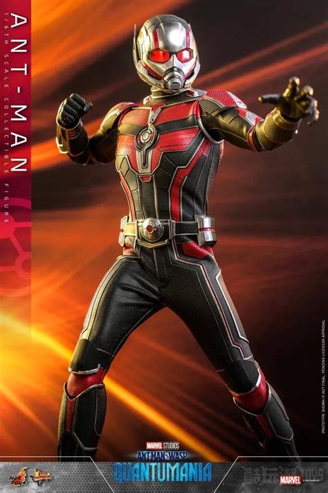 Hot Toys Ant Man Chao
