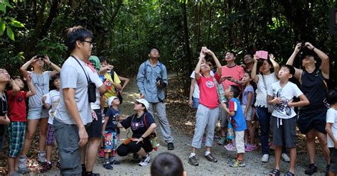 Adventures With The Naked Hermit Crabs Th Apr Sat Free Guided Walk At Chek Jawa Boardwalk