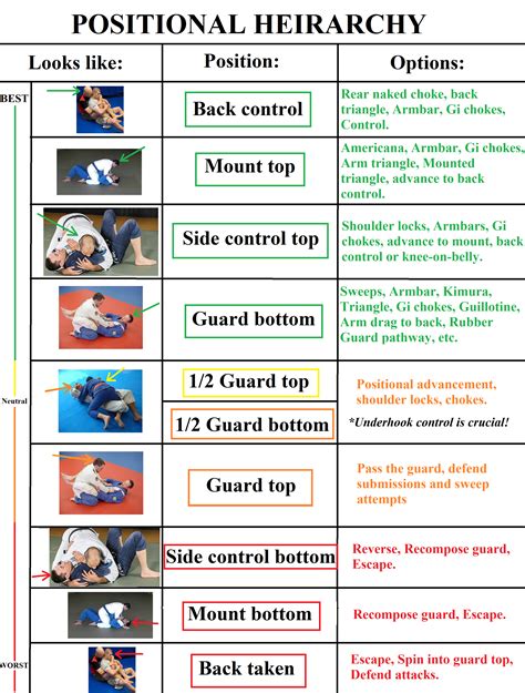 Brazilian Jiu Jitsu Hierarchy Of Positions Poster - 2500x3300 Wallpaper - teahub.io