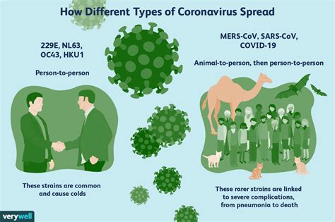 What is Coronavirus (COVID-19): Symptoms, Diagnosis, and Treatment