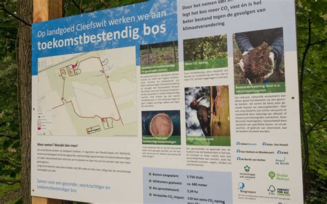 Maatregelen Toekomstbestendig Bos Op Landgoed Cleefswit Voltooid