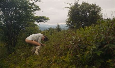 Nude Video Celebs Laia Costa Nude Maine