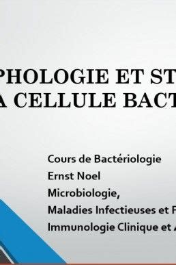 MORPHOLOGIE ET STRUCTURE DE LA CELLULE BACTERIENNE Do What Is Right