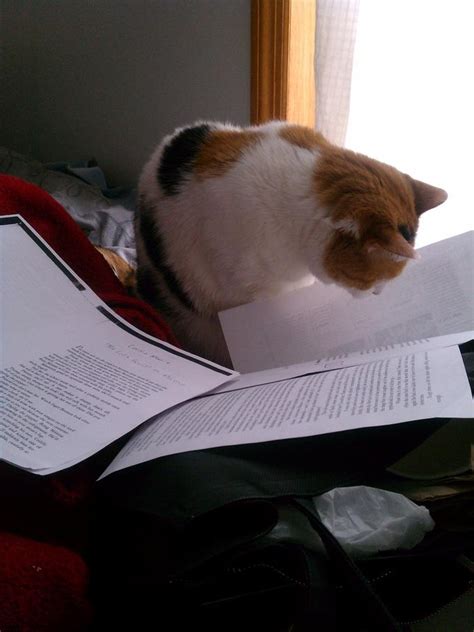 I Think I Can T Read What The Fuck Am I Reading Know Your Meme