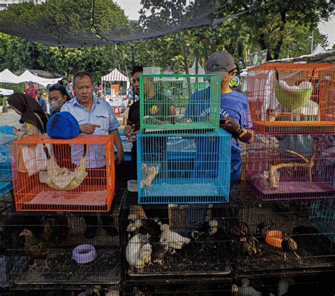 Foto Mengunjungi Pameran Flona 2023 Di Lapangan Banteng Hadirkan
