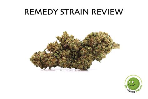 Remedy Review By Mr Hemp Flower Cbd Hemp Flower Strain