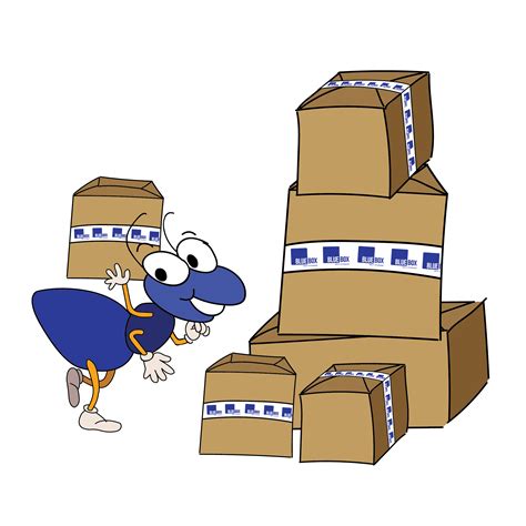 pack  items blue box