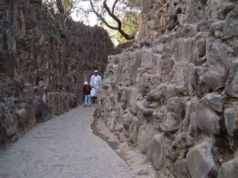 Сад Камней: для красоты и с пользой (Индия) - Terra-Z