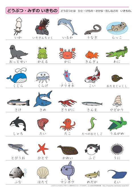 Basic japanese vocabulary through pictures – Artofit