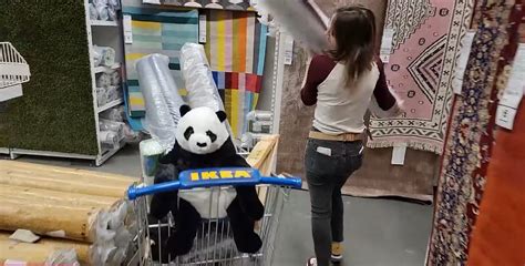 Shelby Nude Porn Pictures XXX Photos Sex Images PICTOA