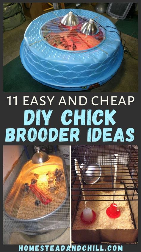 11 Easy Diy Chick Brooder Box Ideas With Photos In 2024 Chicken