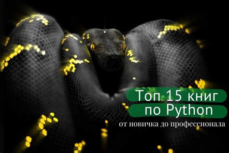 Топ 15 книг по Python: от начинающего до профессионала | azon.market